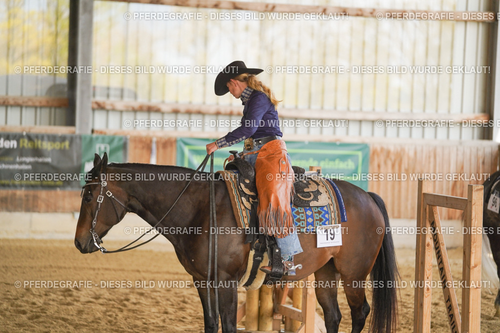 DSC03453 | Pferdegrafie