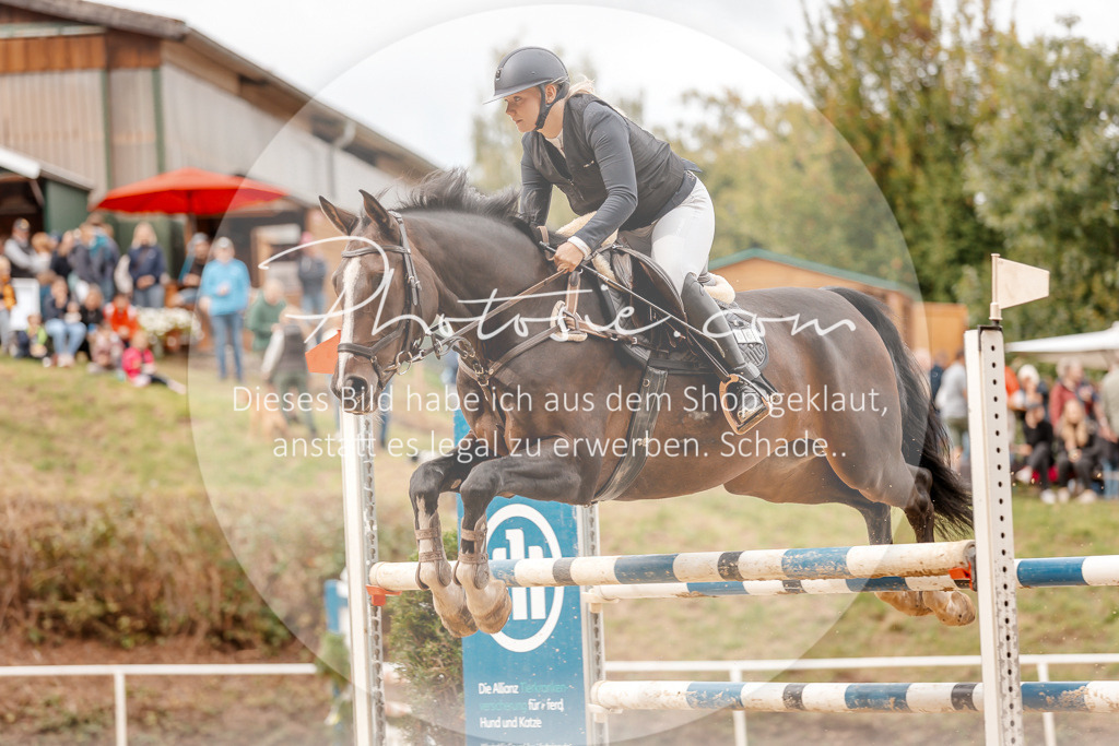 3I6A8082 | Stimmungsvolle Portraits und Reitsportfotografie im Ruhrgebiet und im Münsterland.

Pferdefotografie, Hundefotografie, Tierfotografie, Reportagen, Portraits von Tier und Mensch, Turnierfotografie in Bochum, Recklinghausen, Marl, Haltern am See, Dülmen.. - Realisiert mit Pictrs.com