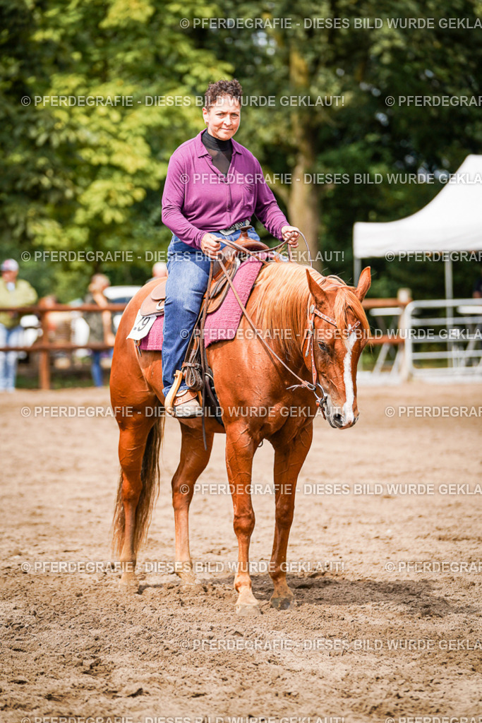 DSC07137 | Pferdegrafie