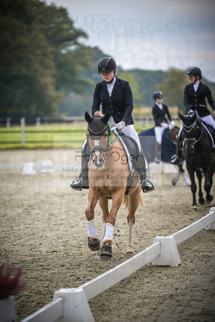 DOS_B319 | Entdecke hochwertige Reitturnierfotos von Foto Oger. Professionell, emotional und authentisch – jetzt Lieblingsmomente im Shop bestellen.Deutschlandweite Turnierfotografie. - Realisiert mit Pictrs.com
