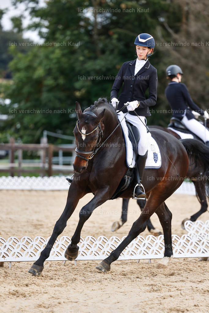 02-236-DRESSUR L_  -StoibPH-4728 | working equitationturnier fotograf videograf stoibphotography marixx film working equitation deutschland reitsport turnierfotografie eventfotografie equestrian events