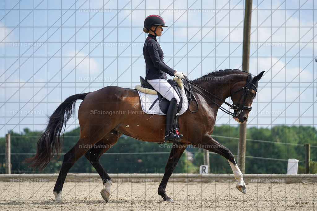 20230826-FAH05979 | Forstinning, 2023, Dressurturnier, Turniersportbilder, Turnierfotografen Bayern, Fotoagentur Herrmann, Reitsportfotografie, Turnierbilder