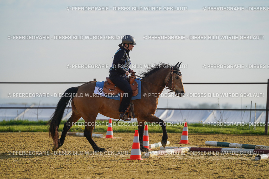 DSC00637 | Pferdegrafie