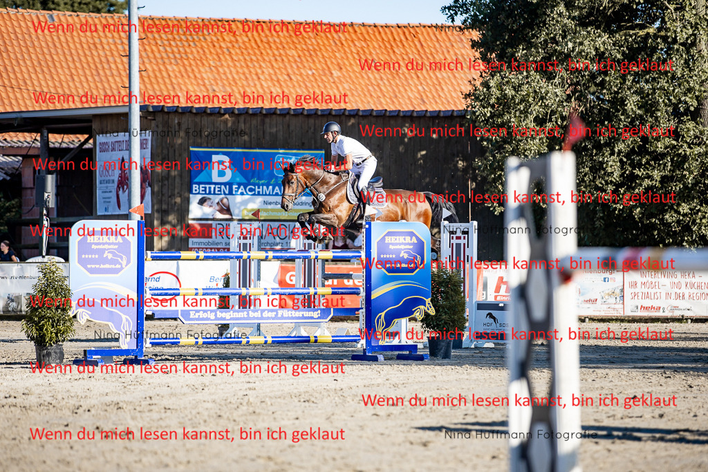 BK1A8320 | Turnierbilder Turnierfotos Nina Hüffmann Turnierfotografie Pferdefotografie Tierzeichnung Haustierzeichnung Pferdezeichnung Hundezeichnung Videograf  - Realisiert mit Pictrs.com