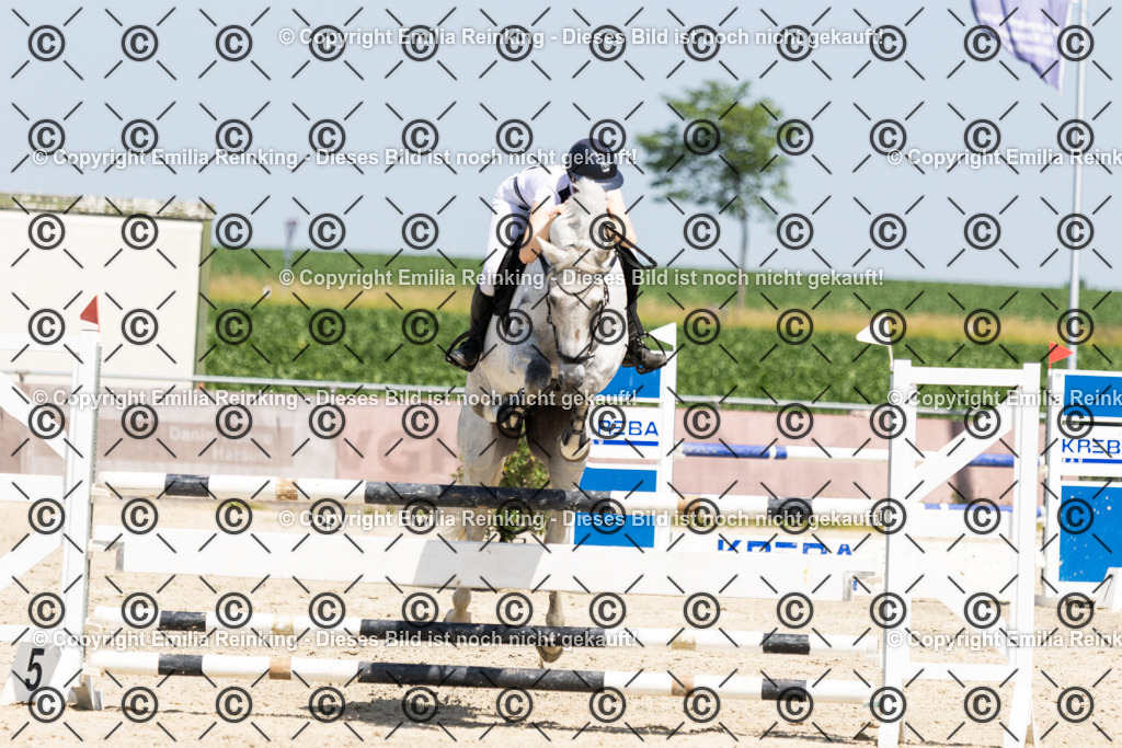 CL5A0531 | Emilia Reinking Fotografie - Realisiert mit Pictrs.com