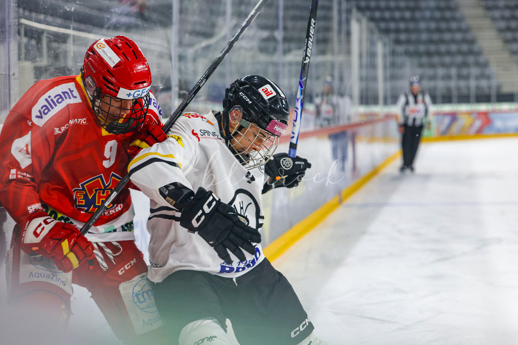 701A3184 | Sportbilder, Sportfotograf, Hochzeits- und Eventfotografin, Flugshows, Portraits und Tiershooting, Aviation, Downhill, Nationalleague, Swissleague, International