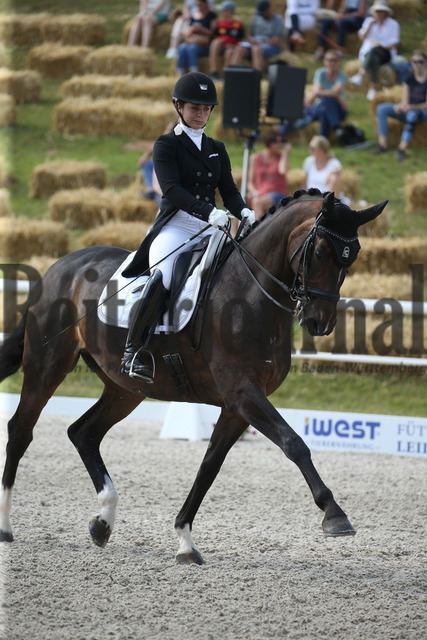 Birkhof_2022_GrandPrixSpecial_Franziska Stieglmaier_DSP Dauphin (2) | Alle Fotos der Reiterjournal Fotografin Doris Matthaes im Reiterjournal Online-Fotoshop. - Realisiert mit Pictrs.com