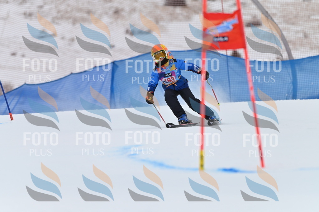 BGV_1575 | holidayphoto