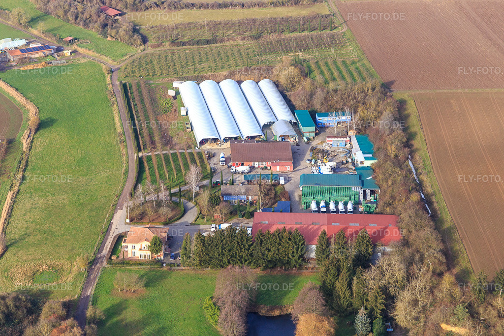 Luftbild: Obsthof Zirker in Herxheim bei Landau im Bundesland Rheinland-Pfalz in Deutschland. Foto: IMG_145152.jpg vom 04.01.2025 durch Werner Riehm/FLY-FOTO.de