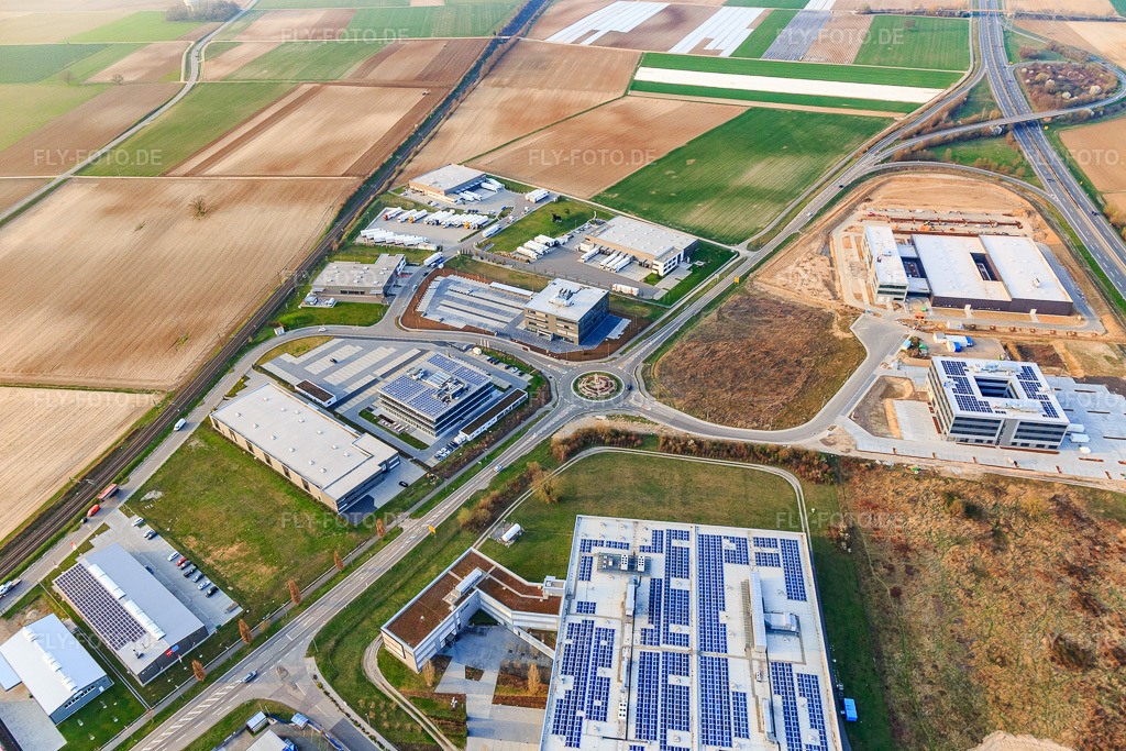 Luftbild: Industriegebiet Im Speyerer Tal in Rülzheim im Bundesland Rheinland-Pfalz in Deutschland. Foto: IMG_113279.jpg vom 23.03.2019 durch Werner Riehm/FLY-FOTO.de