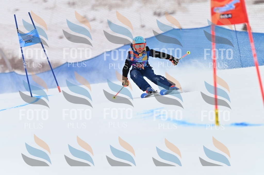 BGV_9948 | holidayphoto