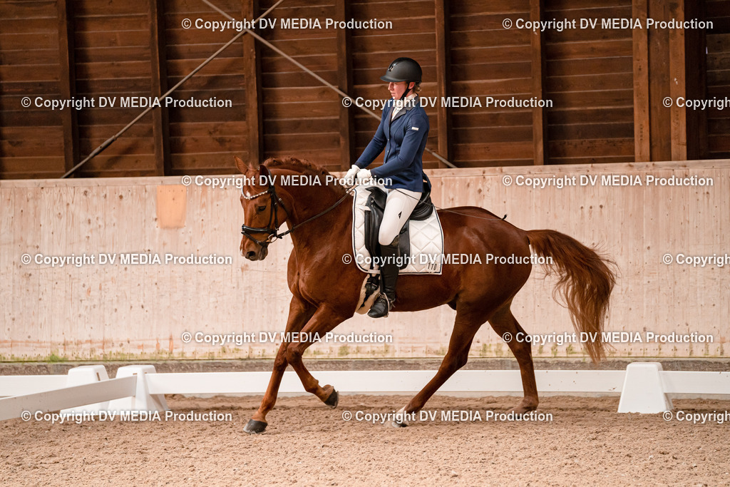 Dressur Tag 2-203 | dv-media-shop - Realisiert mit Pictrs.com