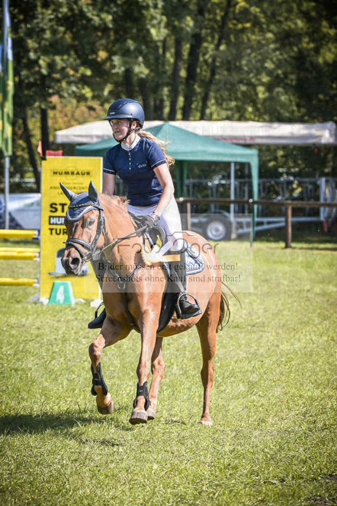 DOS_0017 | Entdecke hochwertige Reitturnierfotos von Foto Oger. Professionell, emotional und authentisch – jetzt Lieblingsmomente im Shop bestellen.Deutschlandweite Turnierfotografie. - Realisiert mit Pictrs.com