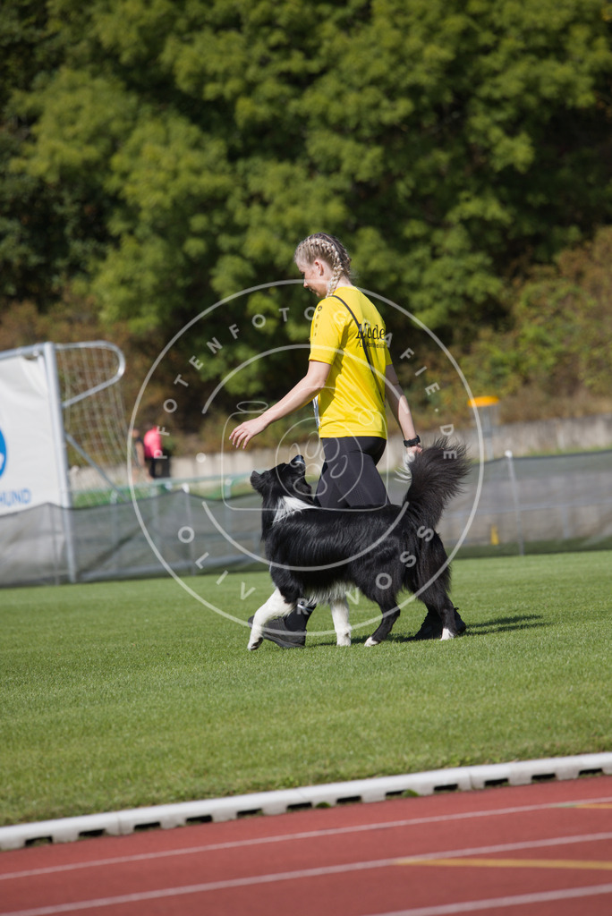 0L8A2493 | Hundefotografie, Tierfotograf, Pfotenfotografie, Fotoshooting Hund, Hunde Portrait, Hundesport, Hundeportraits, Heideshooting, Hunde, Sportfotograf, Hundefotograf, Turnierhundsport, THS,  - Realisiert mit Pictrs.com