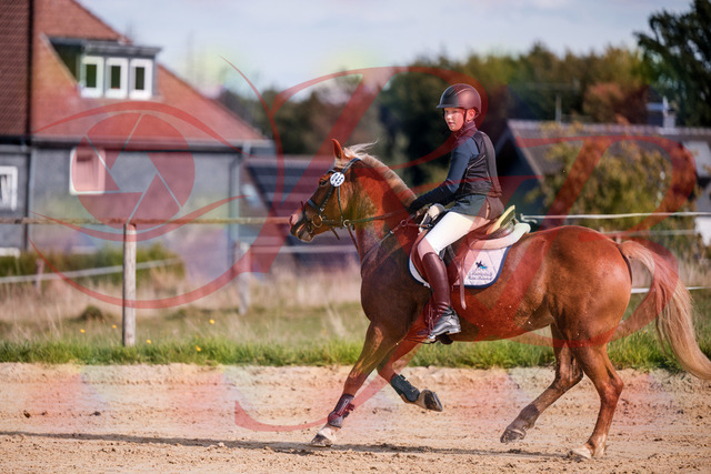 2026_10_03_Siefer-Hof_144716_Z81_24144491 | Professionelle Reitsport-, Turnier- und Eventfotografie von Robert Broda. Galerien mit ausgewählten und bearbeiteten Bildern direkt online ansehen und bestellen.