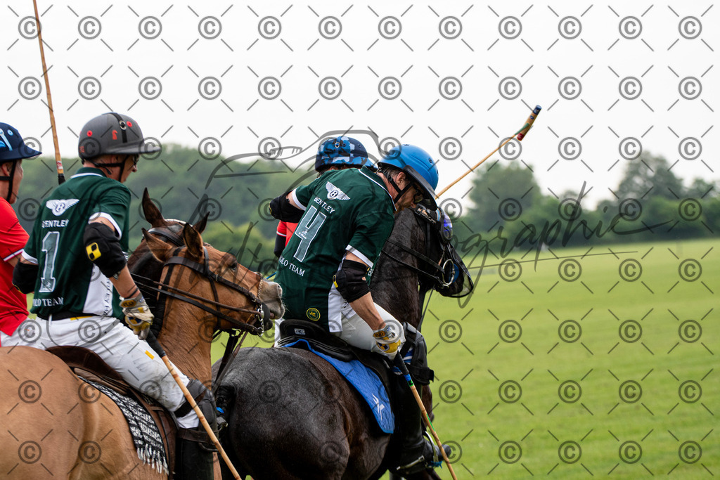 POL_2958 | andre_photographic