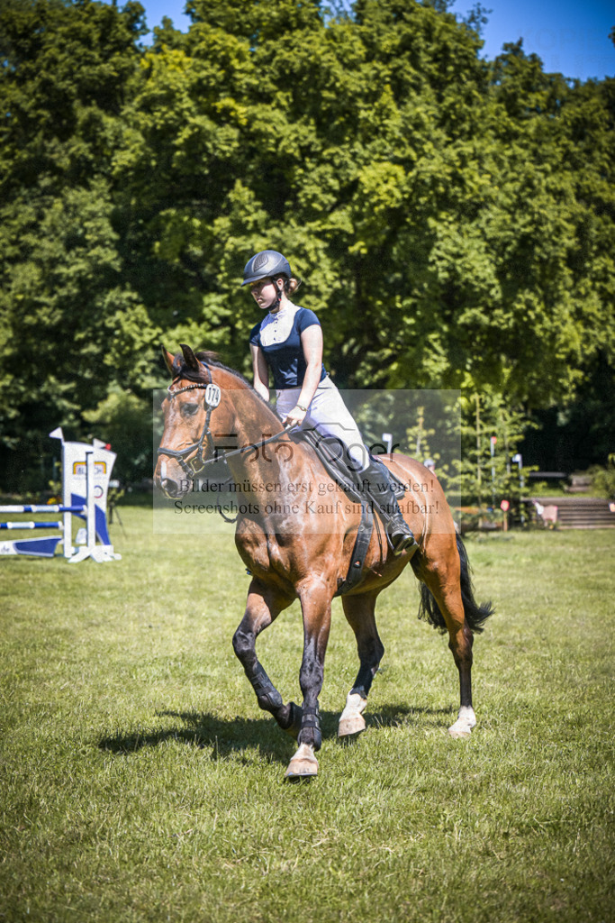 DOS_4387 | Entdecke hochwertige Reitturnierfotos von Foto Oger. Professionell, emotional und authentisch – jetzt Lieblingsmomente im Shop bestellen.Deutschlandweite Turnierfotografie. - Realisiert mit Pictrs.com