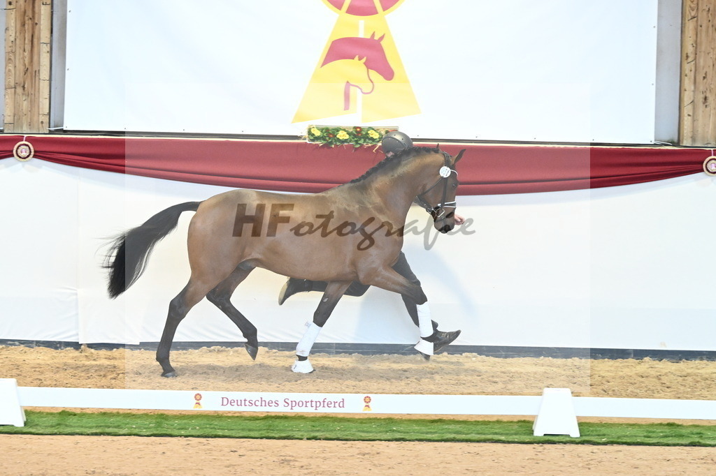 Kat.-Nr. 51 v. Freiherr von Stein_Graditz_2240599 | hf-fotografie - Realisiert mit Pictrs.com