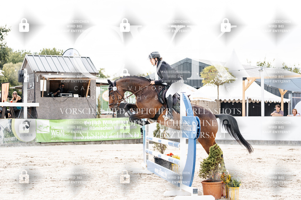 CK902216 | Turnierfotografie Pferdefotografie Trier Rheinland-Pfalz Pferdesport Reitsport Tierfotografie Sportfotografie Pferdevideo Pferdevideografie Equestrianvideography equestrianphotography  - Realisiert mit Pictrs.com