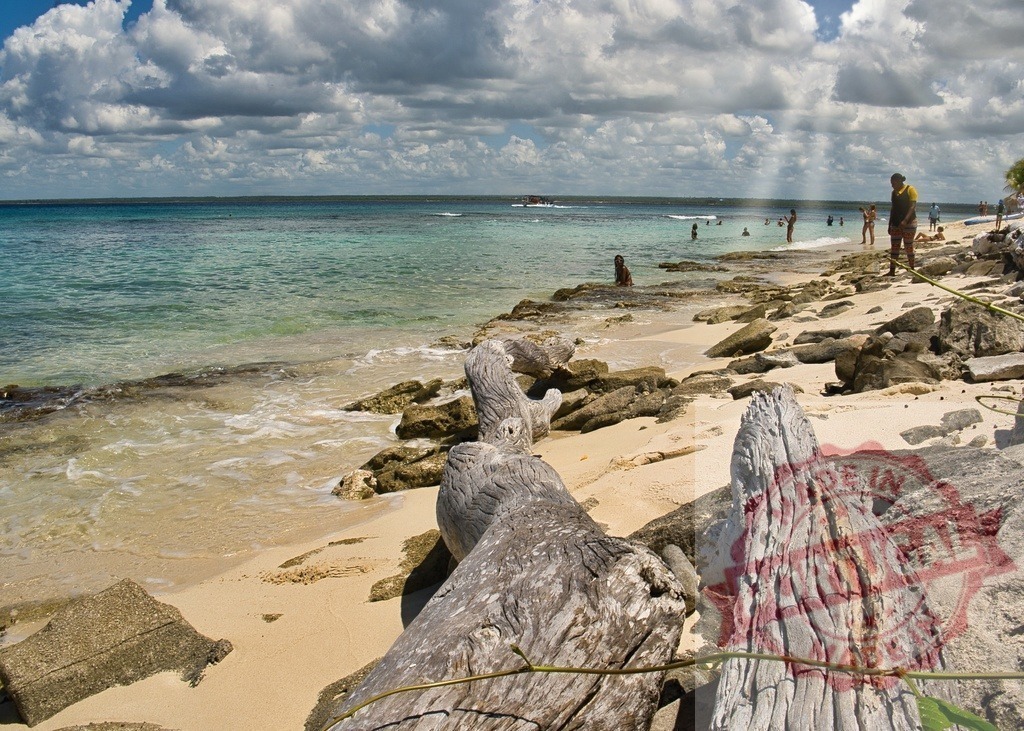 Driftwood on tropical beach with people swimming | Driftwood resting on a sandy beach with rocks and people swimming in turquoise ocean water - Realisiert mit Pictrs.com