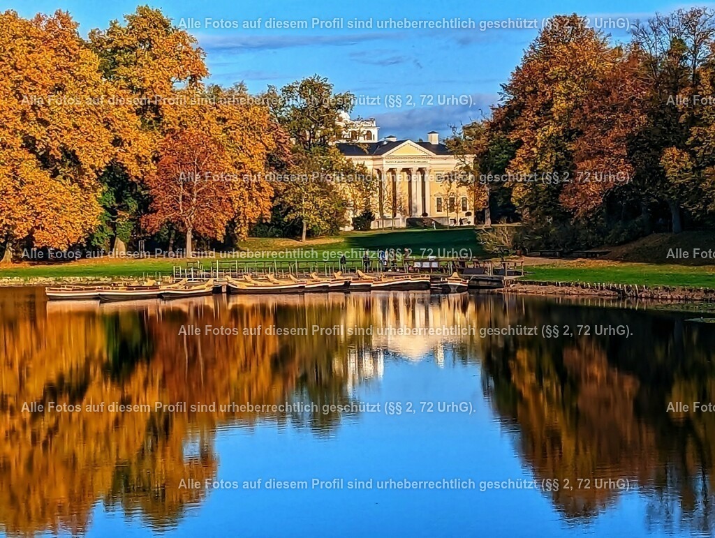 PXL_20221022_143836274-01_2 | krollfotografie - Realisiert mit Pictrs.com