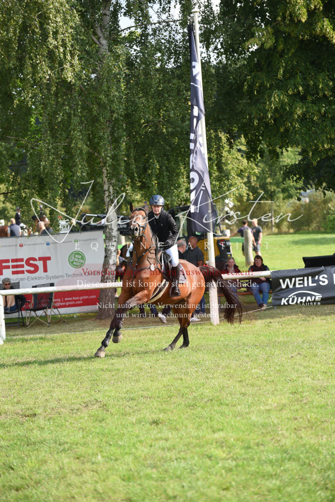 DSC_8748 | Pferde- und Turnierfotografie in Westsachsen. Pferdeportraits, Auftragszeichnungen und intuitive Kunst.