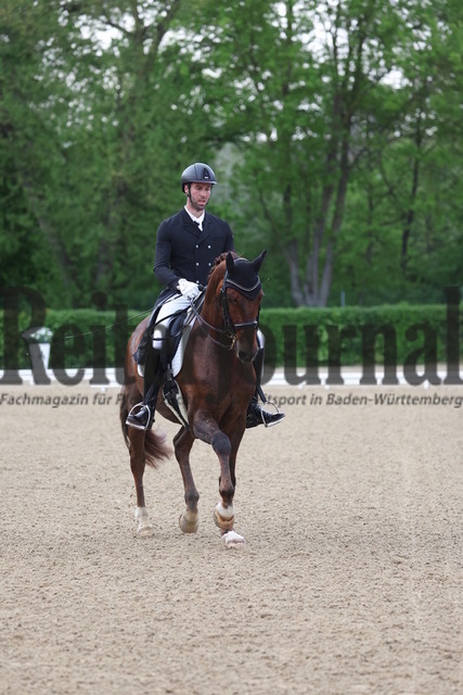 Böblingen_2023_Prfg_Nr.01_Dressur_Kl.S_Kür_Tobias Eckert_Bon Jovi - R (17) | Alle Fotos der Reiterjournal Fotografin Doris Matthaes im Reiterjournal Online-Fotoshop. - Realisiert mit Pictrs.com