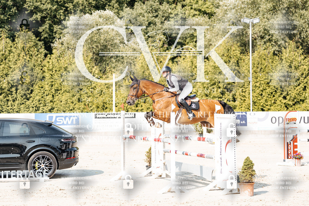 CK902602 | Turnierfotografie Pferdefotografie Trier Rheinland-Pfalz Pferdesport Reitsport Tierfotografie Sportfotografie Pferdevideo Pferdevideografie Equestrianvideography equestrianphotography  - Realisiert mit Pictrs.com