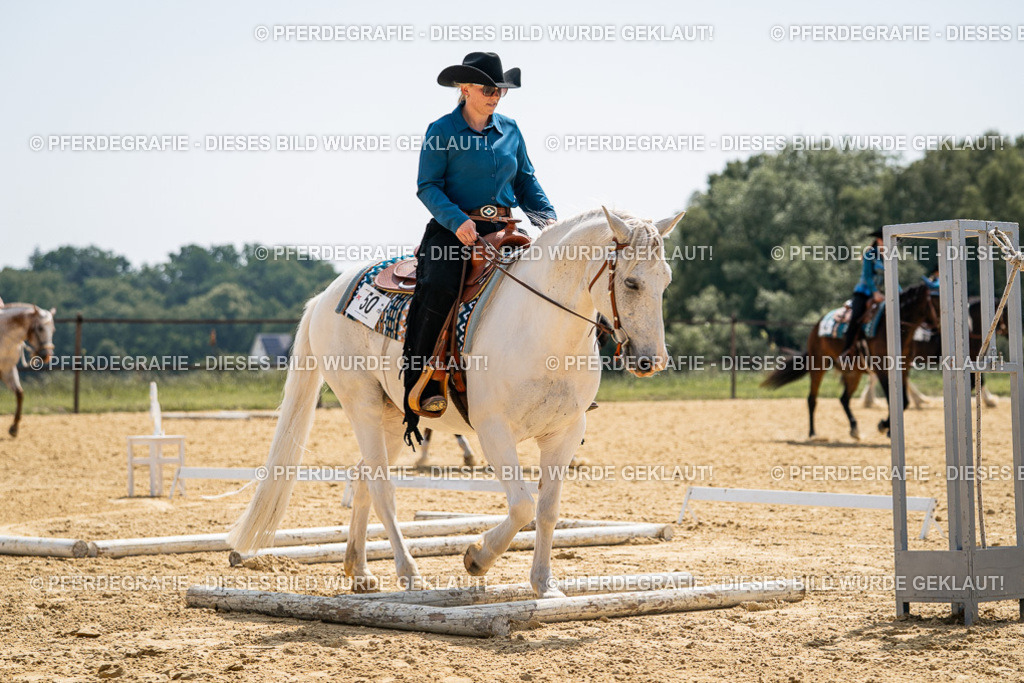 DSC00142 | Pferdegrafie