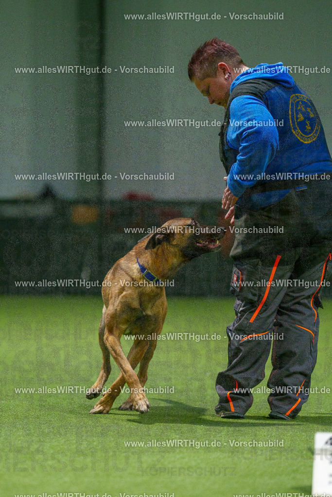 7R507460 | Professionelle Tierfotografie in Mönchengladbach von Daniel Wirth (allesWIRTHgut). Liebevolle & natürliche Bilder von Hunden & Katzen für unvergessliche Erinnerungen.