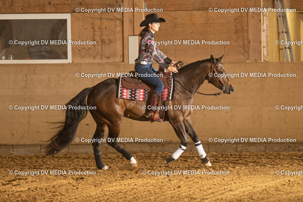 LAU00258 | dv-media-shop - Realisiert mit Pictrs.com