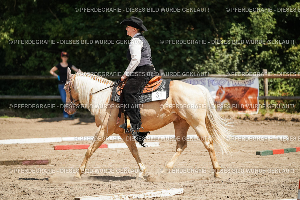 DSC06953 | Pferdegrafie