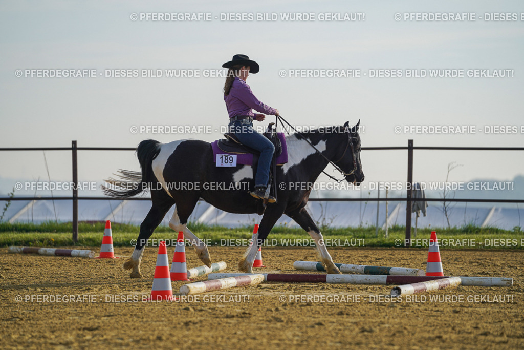 DSC00283 | Pferdegrafie