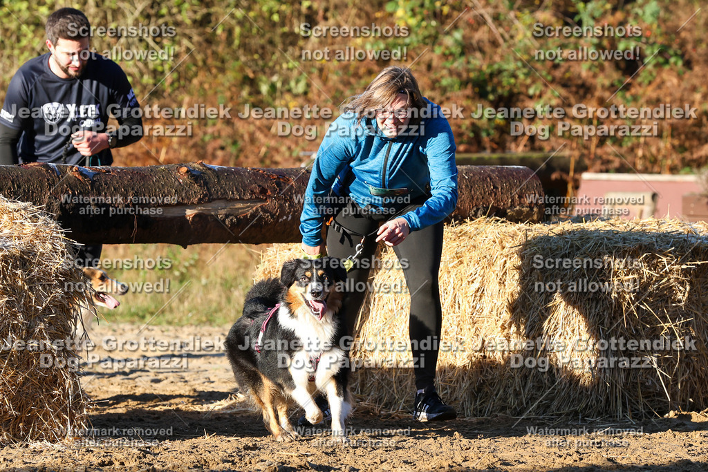Dog Paparazzi - Strongdog 10-25-950 | Dog Paparazzi Jeanette Grottendiek Fotografie & Videografie - Realisiert mit Pictrs.com