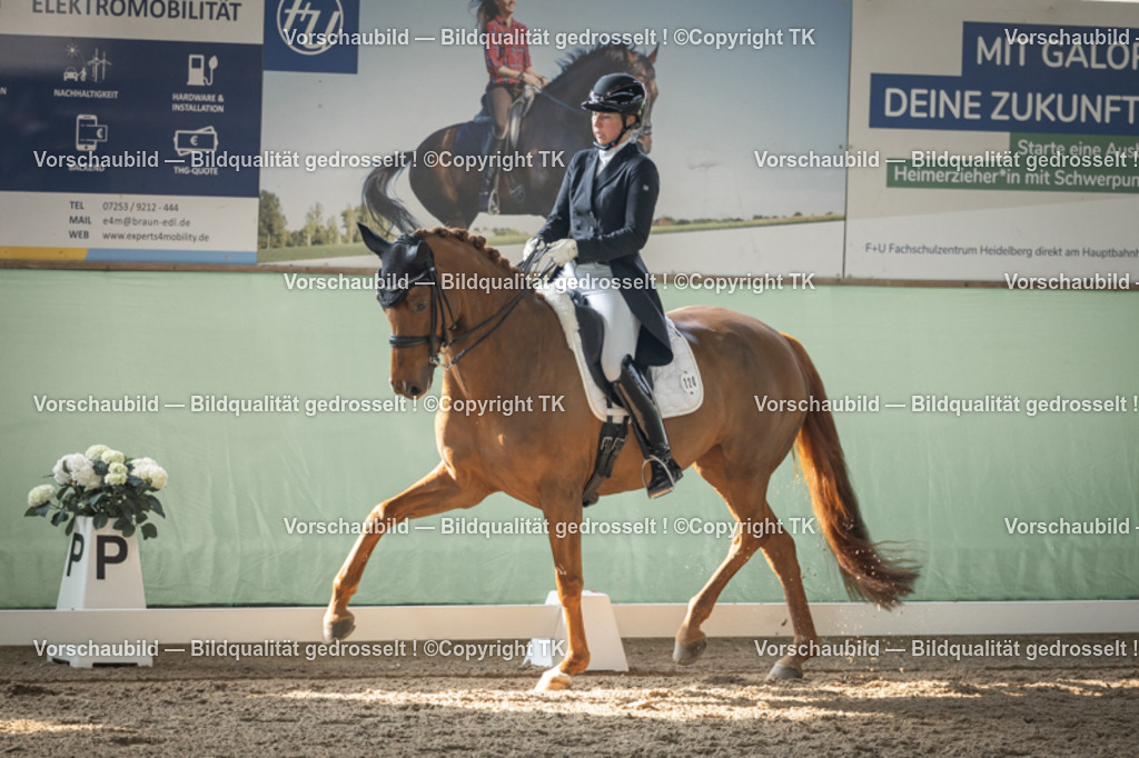 _D5A4575 | Emotionale Pferde- & People-Fotografie rund um Heidelberg, Leimen & Umgebung. Natürliche Fotos von Pferd, Mensch & Familie. Jetzt Termin sichern!