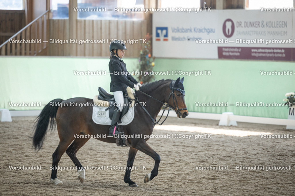 _D5A9046 | Emotionale Pferde- & People-Fotografie rund um Heidelberg, Leimen & Umgebung. Natürliche Fotos von Pferd, Mensch & Familie. Jetzt Termin sichern!