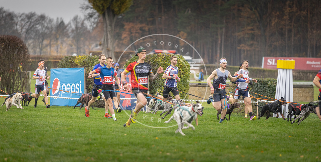 CaniXpix_DV3A9470 | Hundefotografie, Tierfotograf, Pfotenfotografie, Fotoshooting Hund, Hunde Portrait, Hundesport, Hundeportraits, Heideshooting, Hunde, Sportfotograf, Hundefotograf, Turnierhundsport, THS,  - Realisiert mit Pictrs.com