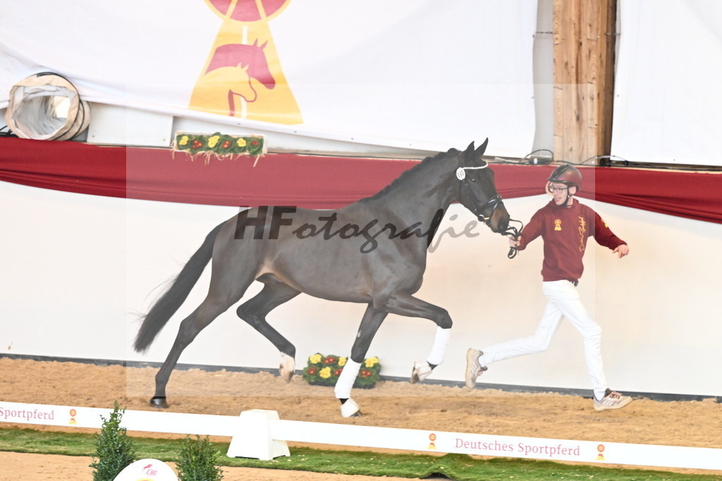 Kat.-Nr. 60 v. Raven_Klakow_2240743 | hf-fotografie - Realisiert mit Pictrs.com