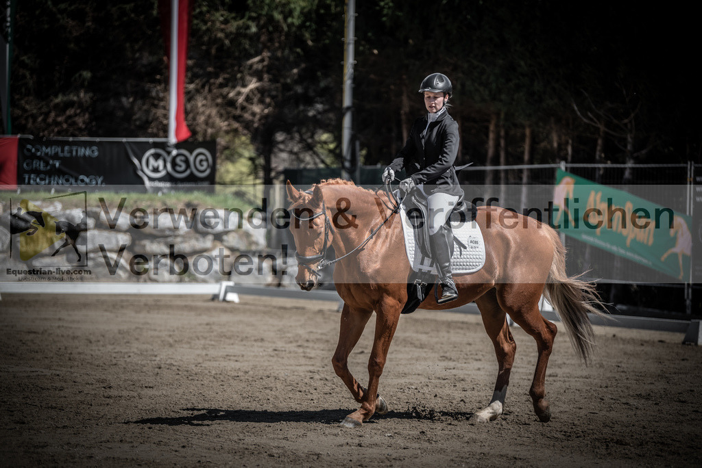 DSC_0089 | equestrian-live-com