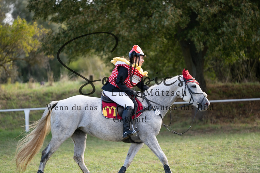 A7V06569 | Pferdefotograf