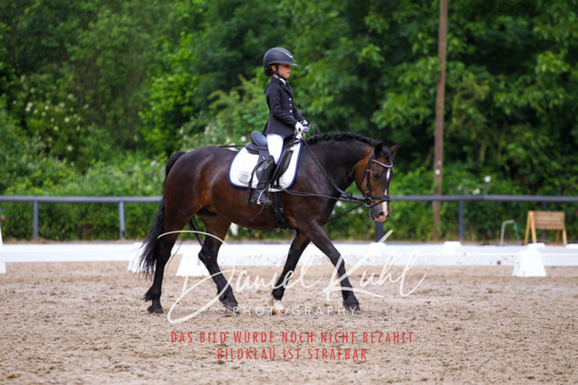 DKP47505 | Turnierfotos kaufen im Webshop von Daniel Kuhl Photography – entdecke professionelle Reitsportfotos aus Turnieren & Events. Hochwertige Turnierbilder online bestellen & sichern. Jetzt Fotos von Reitsportturnieren kaufen!
