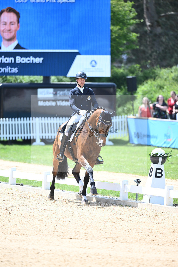 Bacher_Amonitas_12244011 | hf-fotografie - Realisiert mit Pictrs.com