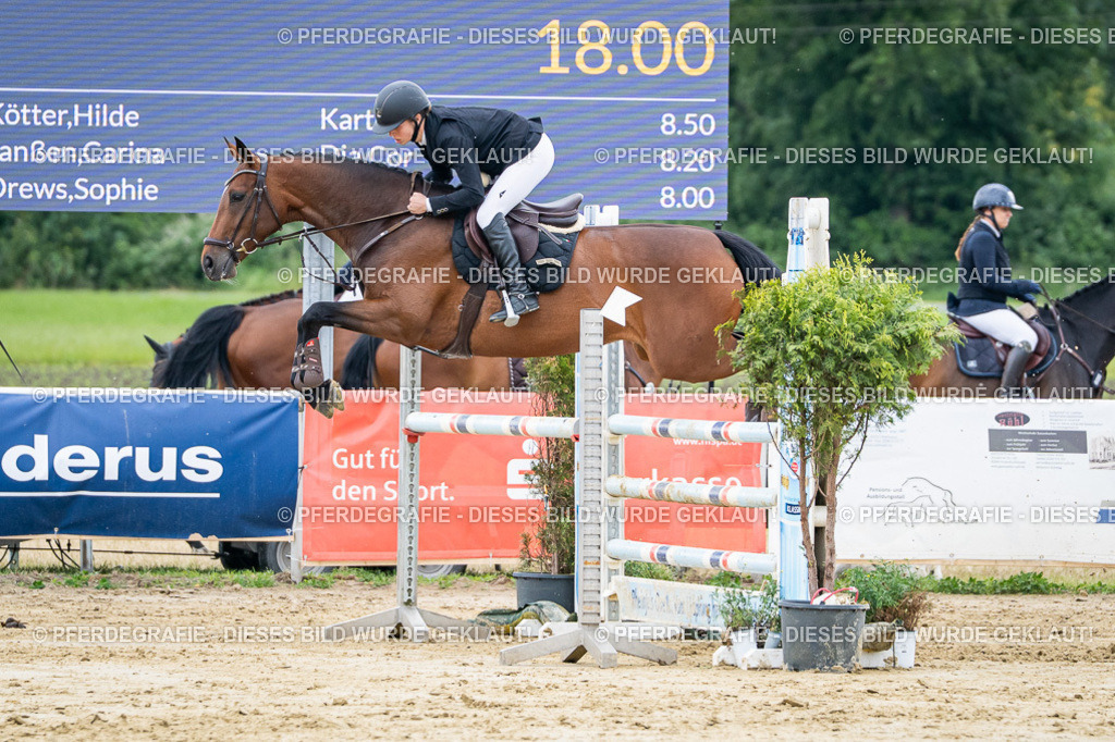 DSC04654 | Pferdegrafie