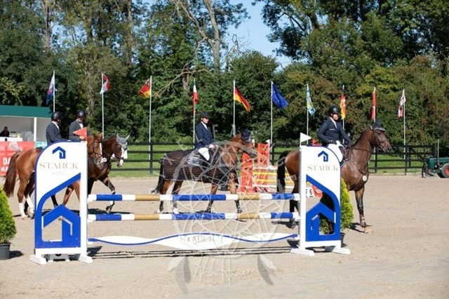 2B4A0334 | pixelfaenger - Realisiert mit Pictrs.com