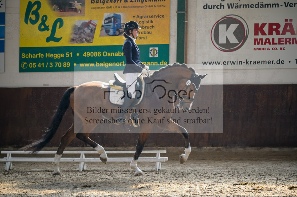 Reitturnier Voxtrup | Entdecke hochwertige Reitturnierfotos von Foto Oger. Professionell, emotional und authentisch – jetzt Lieblingsmomente im Shop bestellen.Deutschlandweite Turnierfotografie. - Realisiert mit Pictrs.com