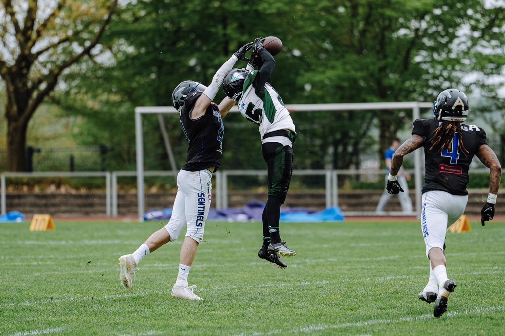 Bad Homburg Sentinels vs KIT Engineers, American Football,Testspiel, 18.04.2026 | Bad Homburg Sentinels vs KIT Engineers - Realisiert mit Pictrs.com