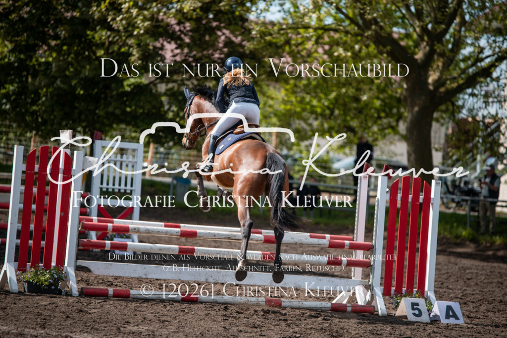 DSC_0775 | Christina-Kleuver