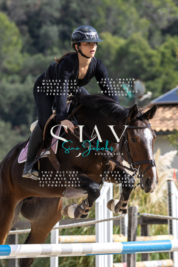 IMG_2986 | s-jay-photography - Realisiert mit Pictrs.com