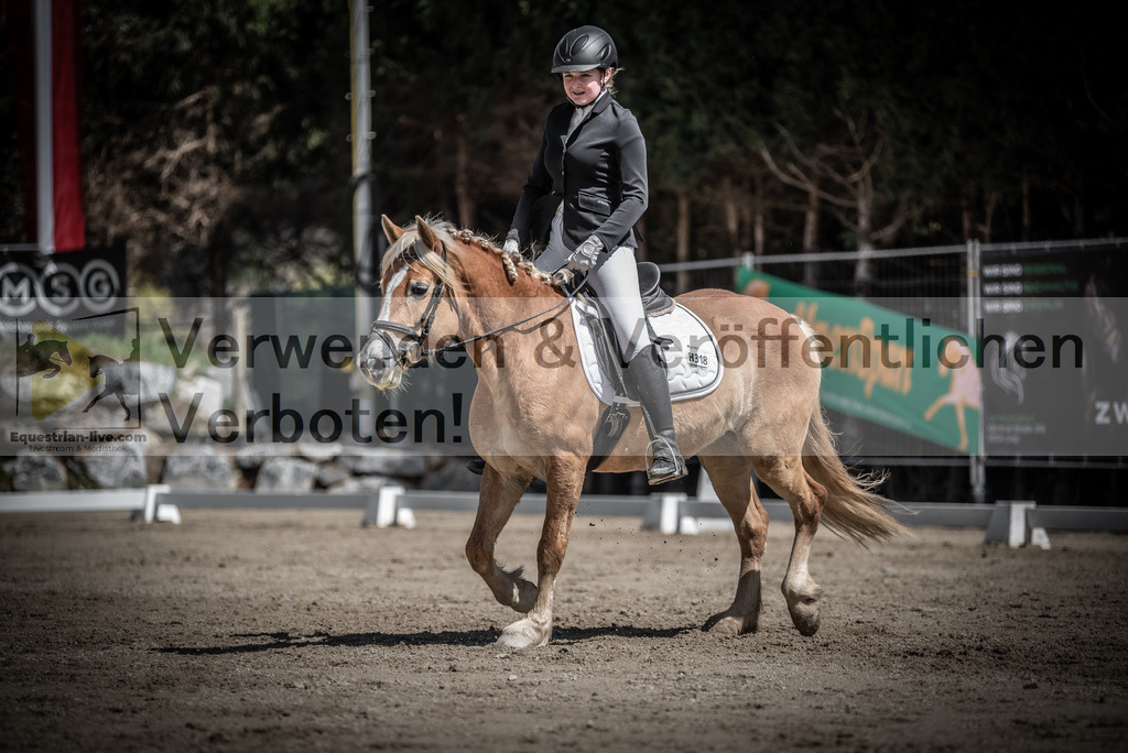 DSC_0705 | equestrian-live-com