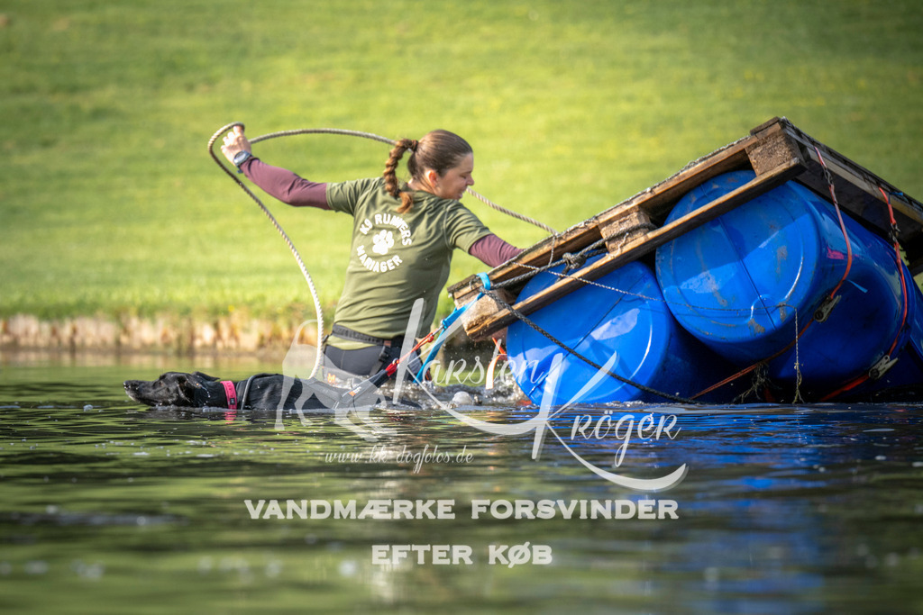 _ZZ934930705 | kk-dogfotos